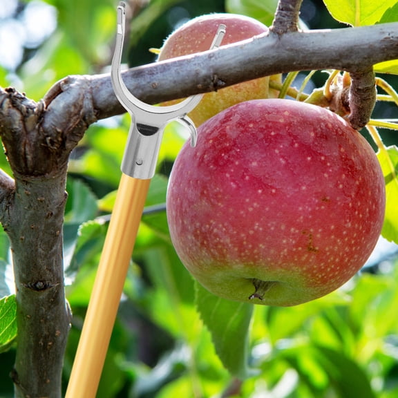 Luxshiny 6Pcs Heavy Duty Aluminium Alloy Tree Supports for Branch Support and Straightening