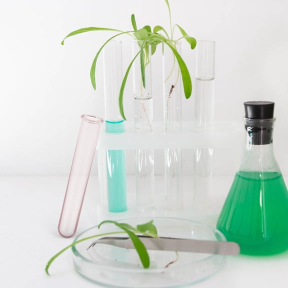 Luxshiny 6Pcs Plastic Hydroponic Flower Test Tube Vase Set for Table Centerpiece and Plant Propagation