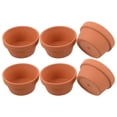 Caramic Pot Luxshiny 6Pcs Rustic Terracotta Clay Plant Pots Natural Breathability ...