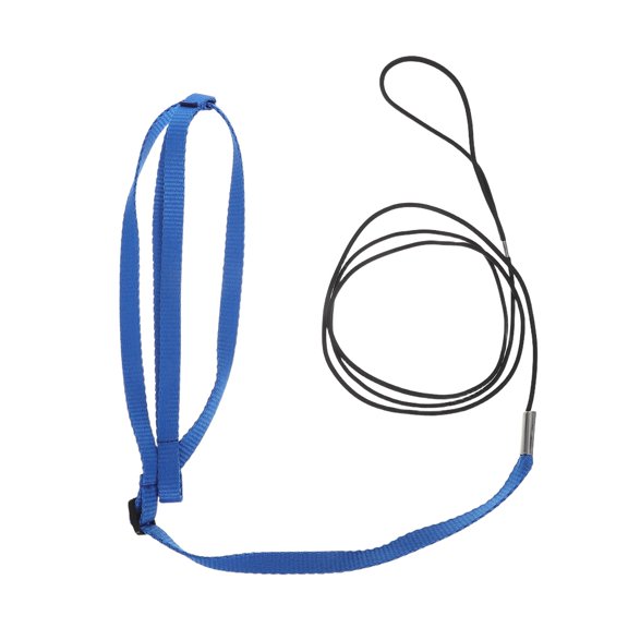 Luxshiny Adjustable Sky Blue Parrot Harness and Leash with Quick Release for Outdoor Flight Training