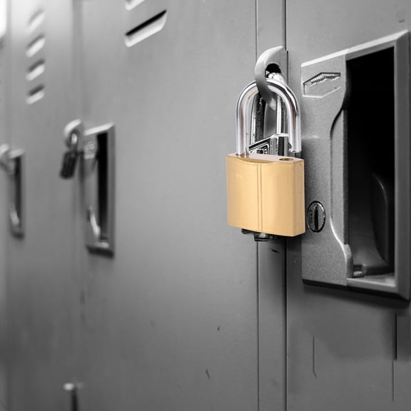 Luxshiny Heavy Duty Iron Lock Thick Golden Rust Resistant Security Lock for Doors and Drawers