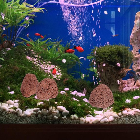 Luxshiny Aquarium Decoration and Filter Media Dark Brown Porous Volcanic Fish Tank Stone