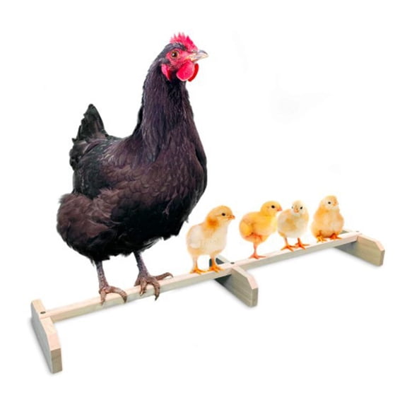 Luxshiny Chicken Perch Bars Chicken Roosting Bars Yellow 1Set