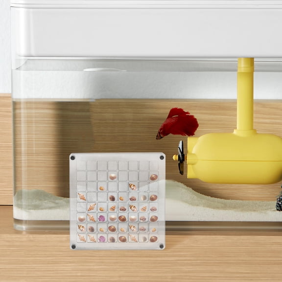 Luxshiny Multi Grid Transparent Seashell Storage Box Acrylic Organizer for Jewelry and Beads
