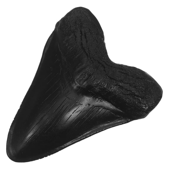 Luxshiny Durable Resin Shark Tooth Prop with Serrated Design for Table Shelf Display and Marine Life Decor