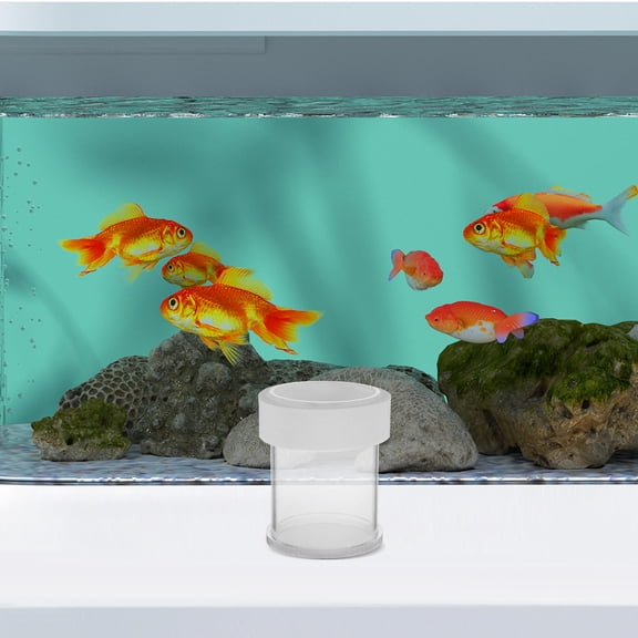 LITINKIMI Fish Tank Feeding Ring Transparent Feeder for Guppies with Convenient Portion Control