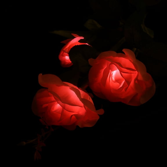 Luxshiny Garden Solar Lights Red Flower Lamp with Automatic or Ideal for Outdoor Lawn and Balcony