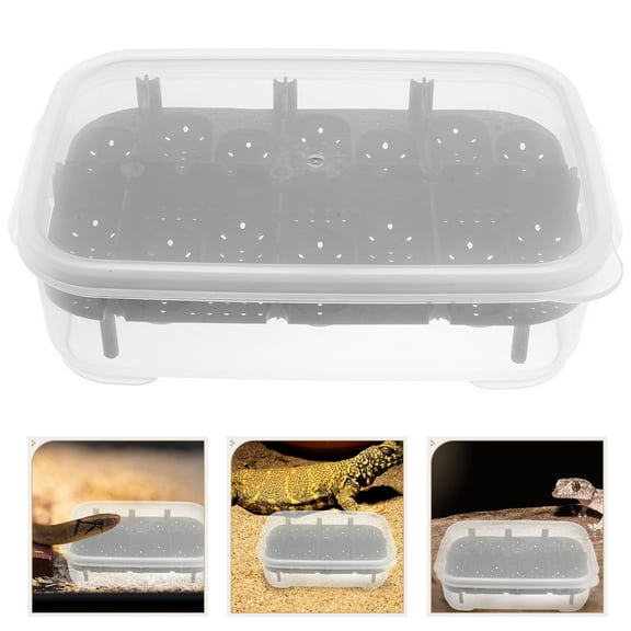 Luxshiny Gecko Hatching Box Professional Plastic for Lizards 1Pack