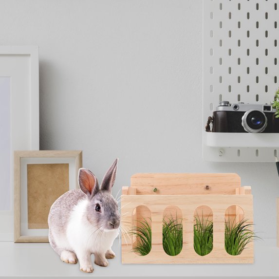 Gallery image with a fresh perspective