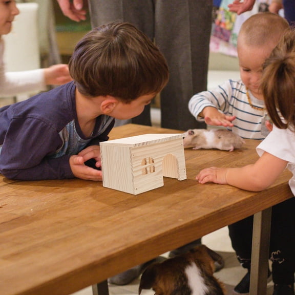 Luxshiny Hamster Cage Wood Feeding Platform Multi Wood With Stairs 1Set For Small Animals