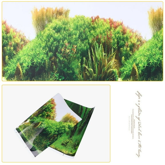 Luxshiny High Definition Green Aquarium Background Sticker for Fish Tank with Fade Resistant Material