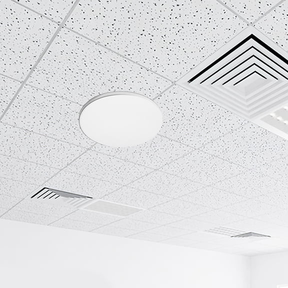 Luxshiny Round Acrylic Ceiling Light Diffuser Panel with Frosted Finish for Home