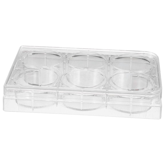 Luxshiny 6-Well White Cell Culture Plate with Lid, Lab Tray for Efficient Testing and Sample Handling