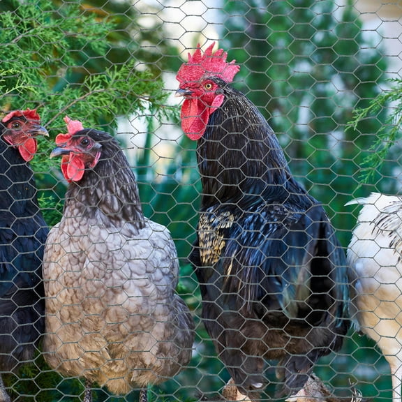 Luxshiny Lightweight Green Wire Fencing for Home Garden Chicken Coop Floral Arrangement Use