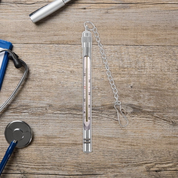 Luxshiny Metal Thermometer Protective Case Plated Silver Color for Glass Probes with Smooth Edges and Lightweight Portable Use