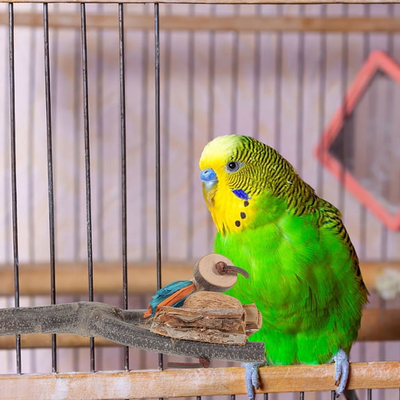 Luxshiny Natural Wood Parrot Perch Stand Assorted Colors Safe Chewing Cage Accessory