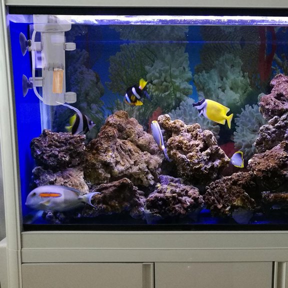 Luxshiny Pair Bubble Wood Stone For Aquariums Light Yellow Natural Wood Tank