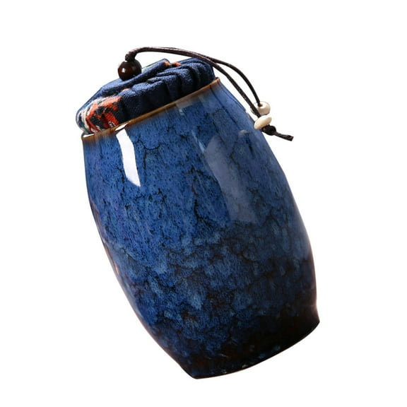 Luxshiny Porcelain Tea Storage Container Multi-Function Set for Family and Friends, 1 Piece