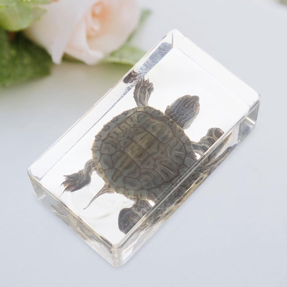 Luxshiny Ocean Figurines Turtle Decor Statue Assorted Color 1 Piece