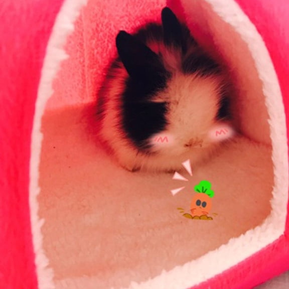 Luxshiny Red Breathable Bunny Hideout Comfortable Warm Nest for Indoor Small Pets