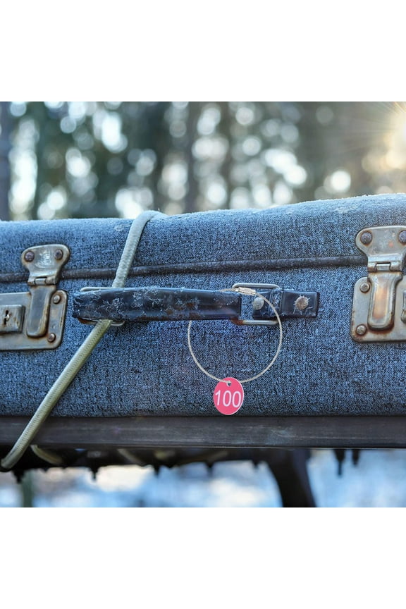 100Pcs Rosy Plastic Number Tags Keychains for Office Identification