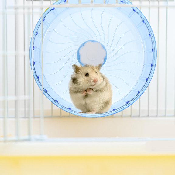 Luxshiny Quiet Running Wheel for Small Animals with Safe Rounded Edges