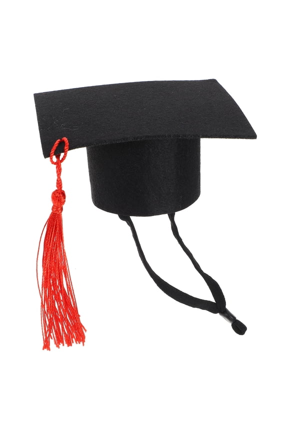 Graduation Hat for Small Dog Pet Hat in Black Felt for Party 1Pack