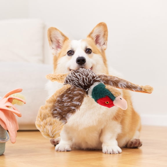 Luxshiny Squeaky Dog Toy For Puppy Toys To Keep Them Busy Stuffed Pheasant For Medium Small Dogs Training Playing Prank Gag Pet Supplies