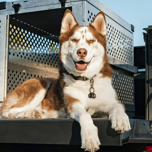 Luxshiny Tracking Bell For Puppy Collar Decorative Light Brown 1Pack