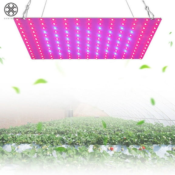 Luxtrada 200W Full Spectrum Plant LED UV Grow Light Veg Lamp For Indoor Hydroponic Plant