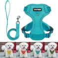 thumbnail image 1 of Luxtrada Dog Harness and Leash No Choke Reflective Pet Vest Adjustable Breathable Mesh Harnesses with Leash for Small Medium Dogs Cats Walking (Blue,M), 1 of 9