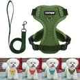 thumbnail image 1 of Luxtrada Dog Harness and Leash No Choke Reflective Pet Vest Adjustable Breathable Mesh Harnesses with Leash for Small Medium Dogs Cats Walking (Green,M), 1 of 9