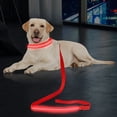 thumbnail image 1 of Luxtrada LED Dog Leash Light Up Dog Leash Micro USB Rechargeable Waterproof Nylon Webbing Glow Safety Standard Dog Leash for Dogs (Red), 1 of 6