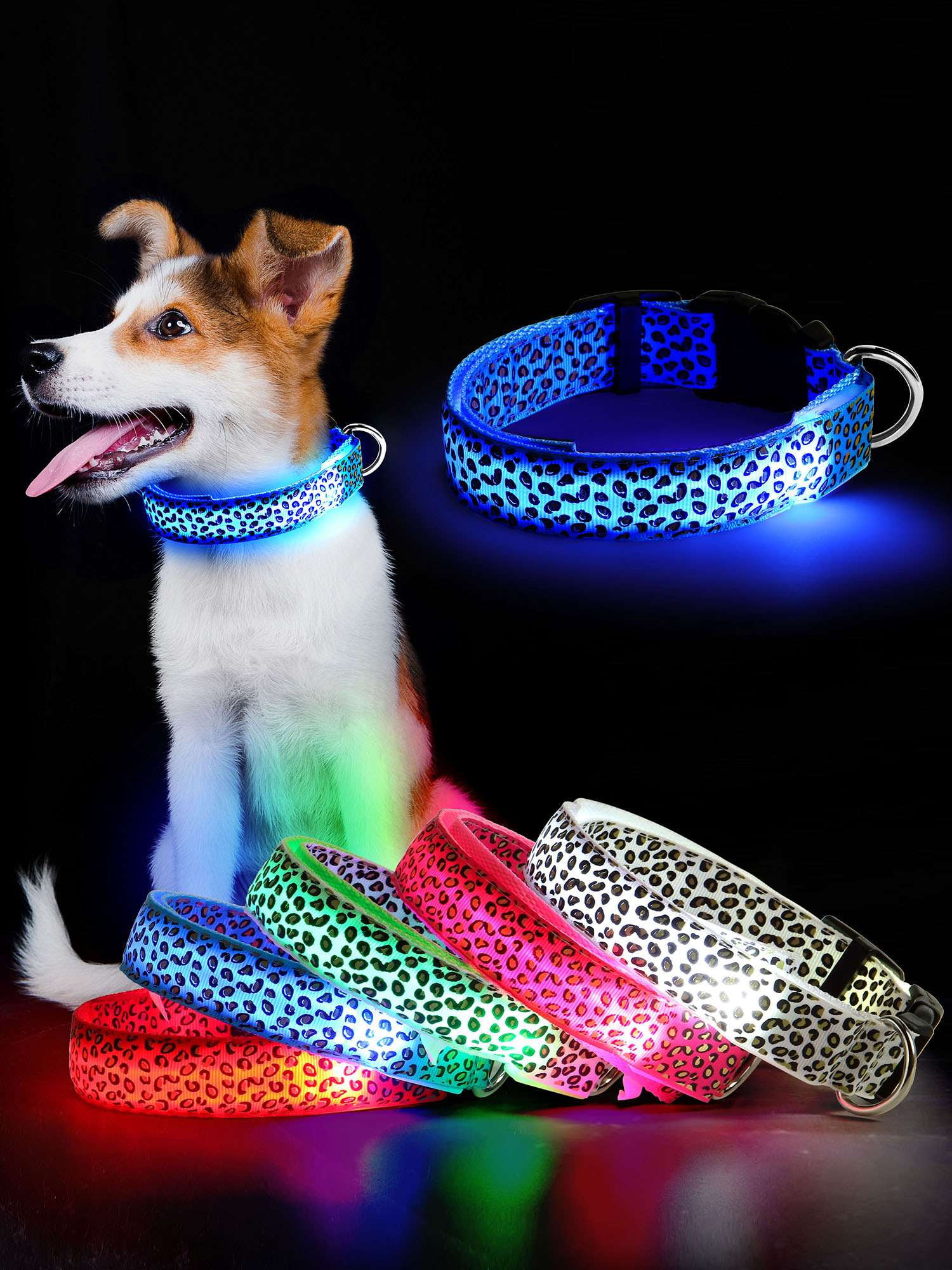 Luxtrada LED Light Up Dog Collar for Night Safety, USB Rechargeable Dog