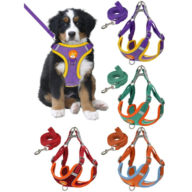 Luxtrada No Pull Dog Harness and Leash Set Adjustable Reflective Pet Vest Harness for Small Medium Dogs (Green,S)