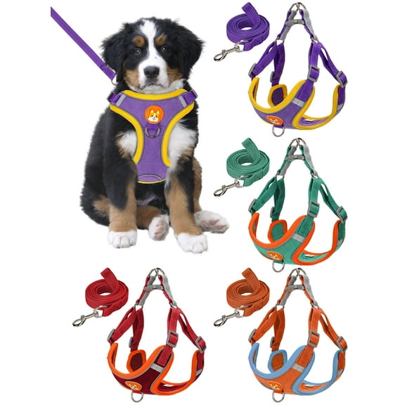 Luxtrada No Pull Dog Harness and Leash Set Adjustable Reflective Pet Vest Harness for Small Medium Dogs (Purple,S)