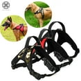 thumbnail image 1 of Luxtrada No Pull Padded Comfort Mesh Dog Walking Harness for Small and Medium Dogs (Black, L), 1 of 8