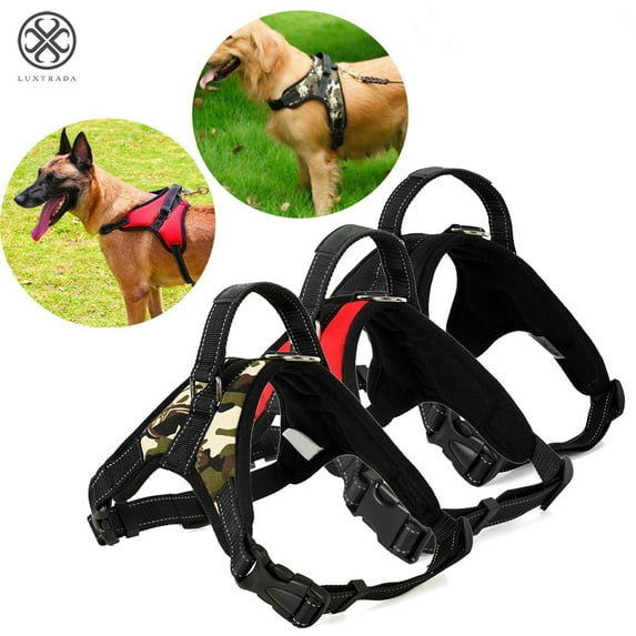 Luxtrada No Pull Padded Comfort Mesh Dog Walking Harness for Small and Medium Dogs (Multi-color, S)