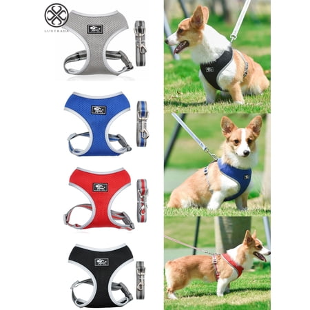 Luxtrada Pet Dog Harness Mesh Vest Dog Leash Dog Harnesses Chest Straps Belt Easy Control + Pet Harness Leash for Small Medium Large Dog (Gray,L)