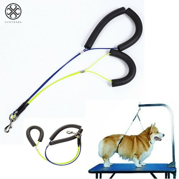 Luxtrada Pet Dog Harness No-Sit Per Haunch Holder Grooming Restraint Harness Leash Loop (Yellow&Blue)