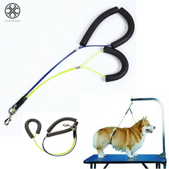 Luxtrada Pet Dog Harness No-Sit Per Haunch Holder Grooming Restraint Harness Leash Loop (Yellow&Blue)