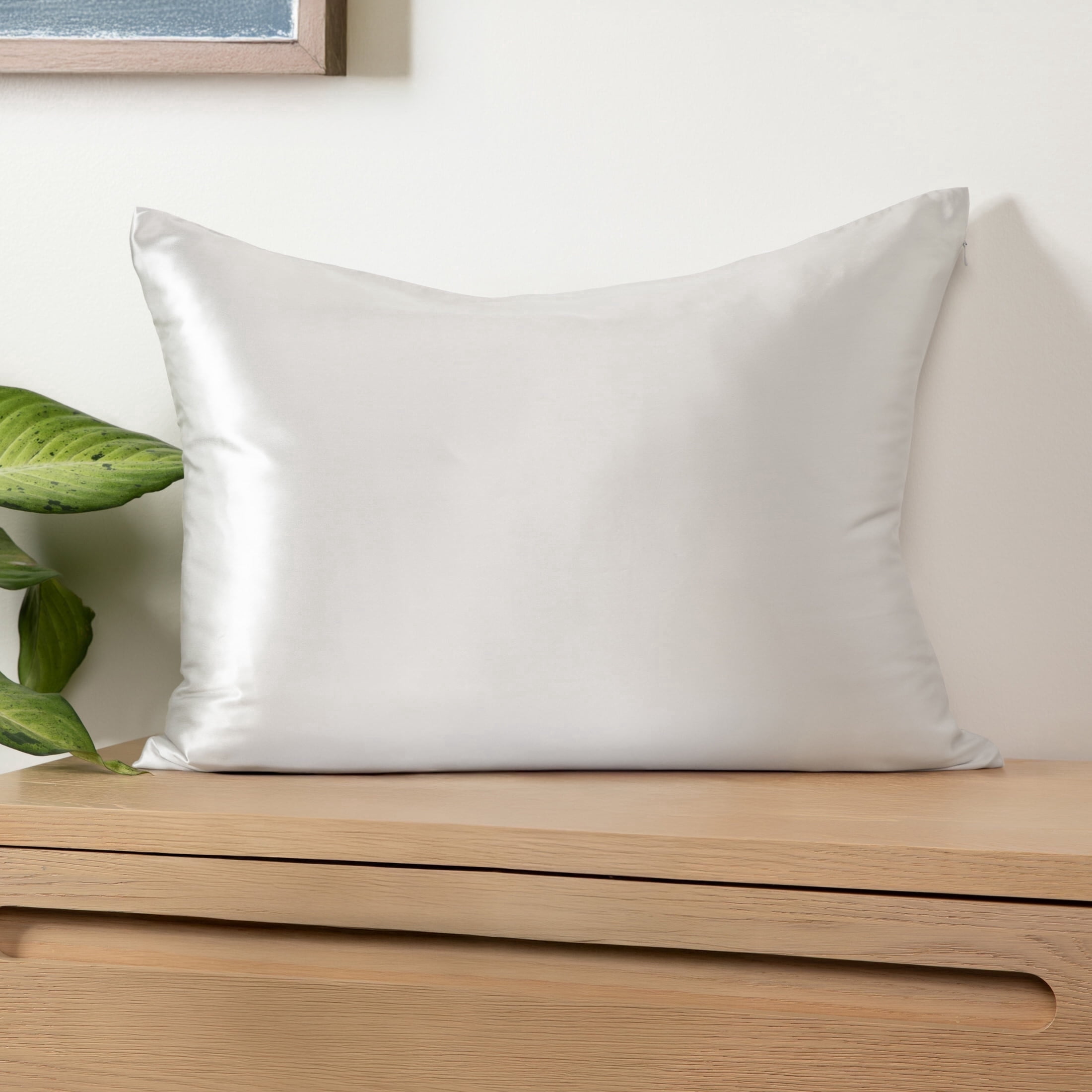 100% Mulberry Silk Zippered Pillowcase by Comfort Canopy, Silver, Queen, 1 count