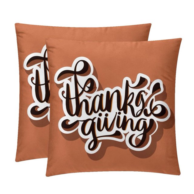 Luxurious Velvet Throw Pillow Inserts Set of 2 16x16, 18x18, 20x20