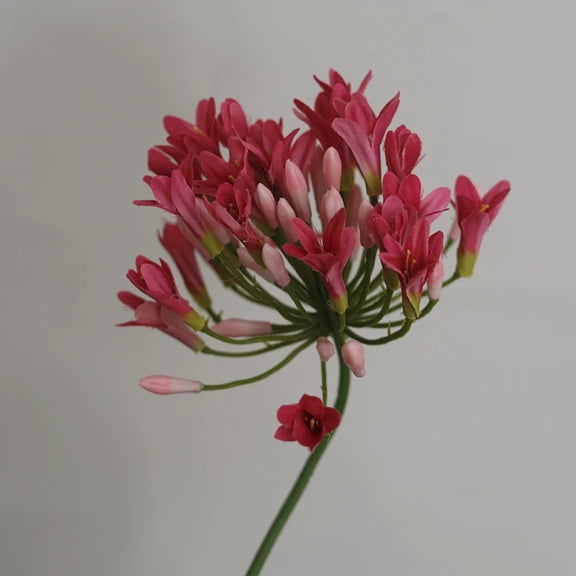 Luxury African Agapanthus Branch Wedding Home Table Decoration Silk Artificial Flowers Fall Christmas Decor flores artificiales