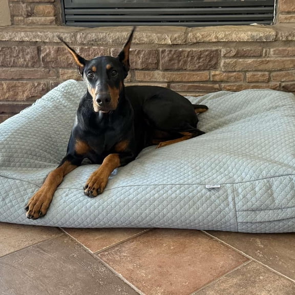 Luxury Dog Bed Cover – Waterproof Cover for Dog Bed – Heavy Duty Quilted Material – , Machine Washable – USA Based Brand – Large (Fog)