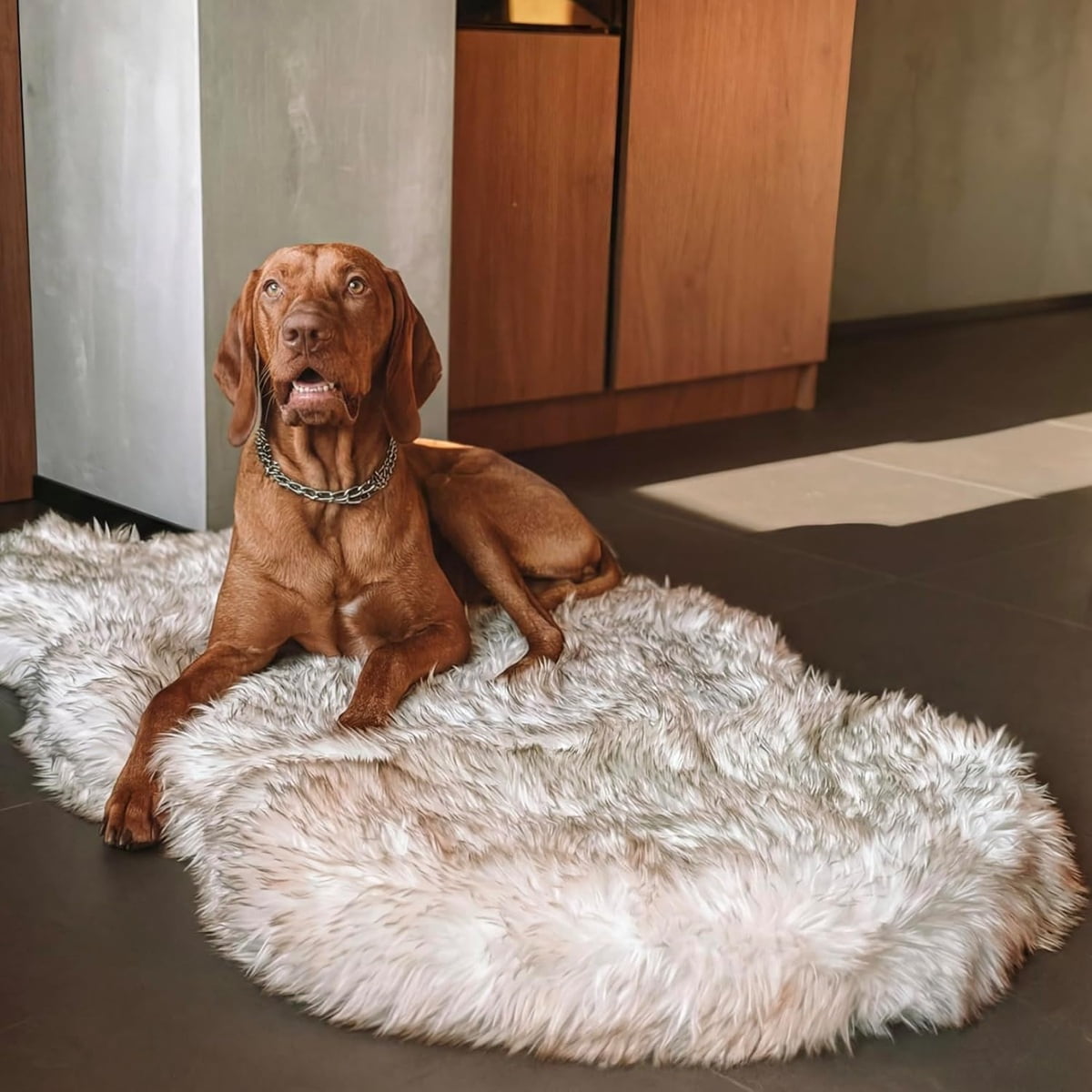 Luxury Faux Fur Orthopedic Dog Bed Memory Foam Dog Bed​ White/Brown L/XL