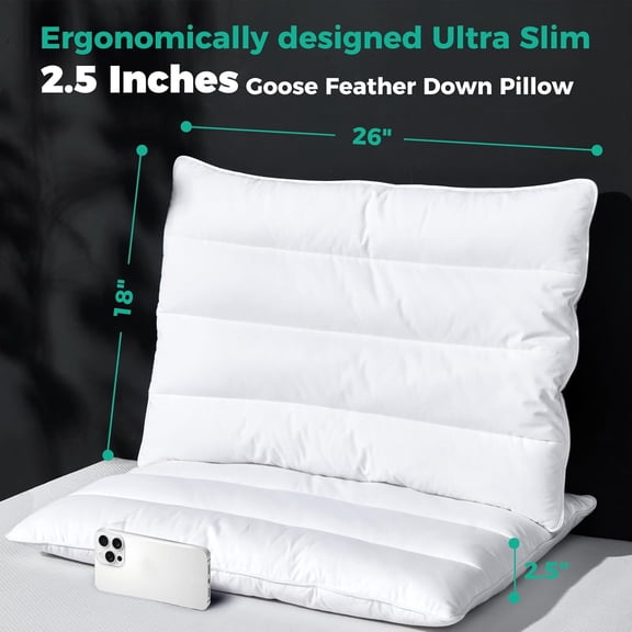 Luxury Flat Thin Goose Feather Down Pillows