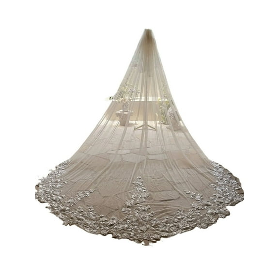 Luxury Floral Applique Bridal Veil Cathedral Length for Bride - White & Champagne Options