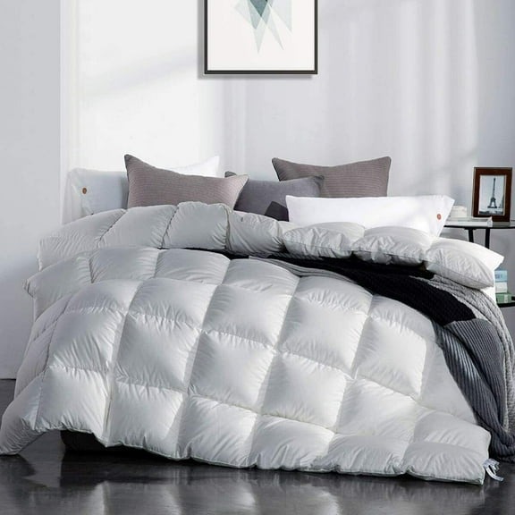 Luxury Goose Down Comforter Duvet Insert Queen Size Winter Warm for All Seasons
