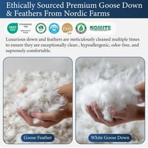 Luxury Goose Feathers Down Pillows Queen Size Set of 2 with Two-Sided Pillowcase, Hypoallergenic Hotel Quality Medium Firm Bed Pillow for Back, Stomach or Side Sleepers